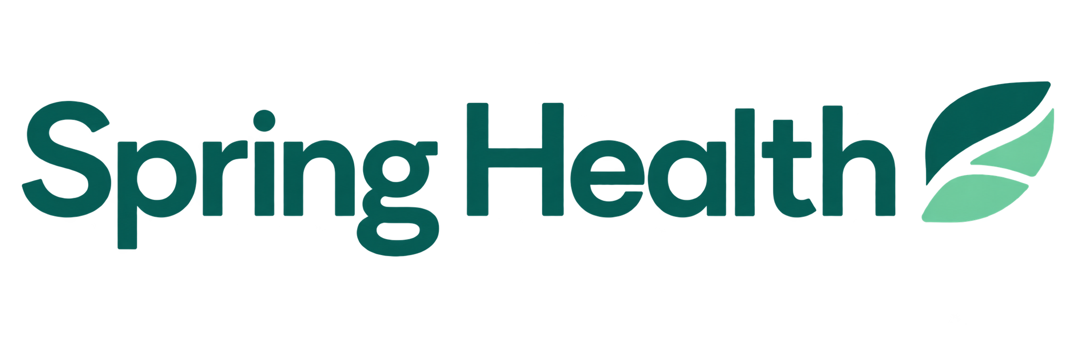 Spring Health Employee Assistance Program
